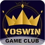 Yoswin Supports